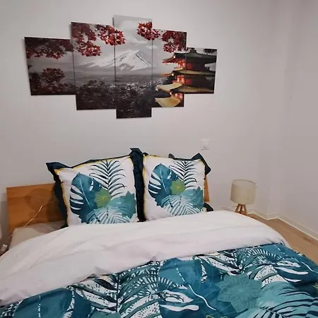 Appartement Au Coin Zen De Bergheim